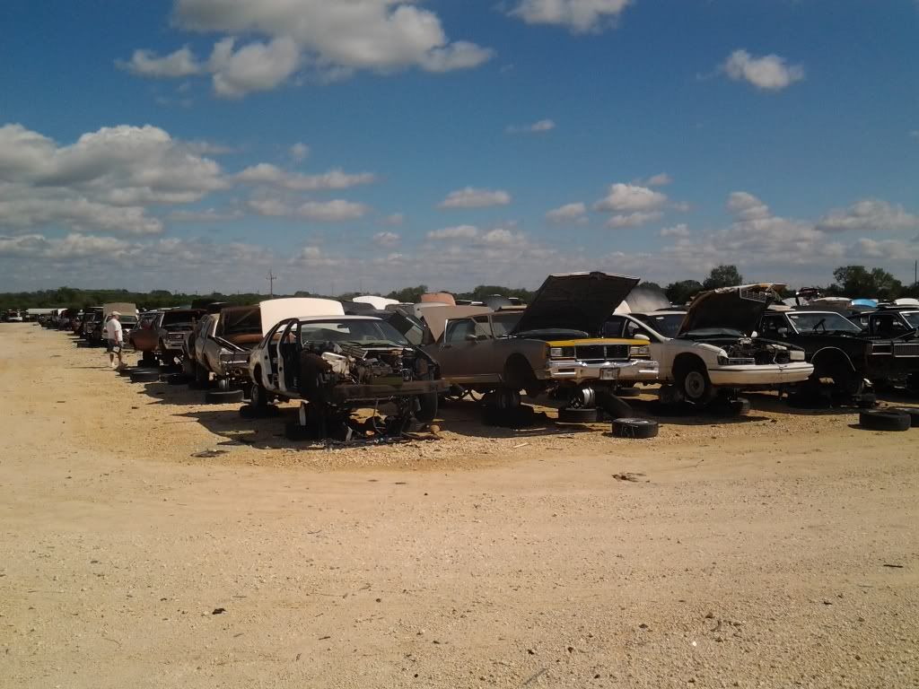 San Antonio Salvage Yard Pics Lots of Gbodies! GBodyForum 1978
